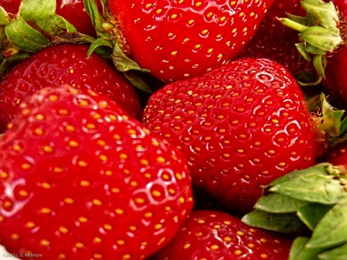 Strawberries! in the Piazza Erbe Market, Bolzano